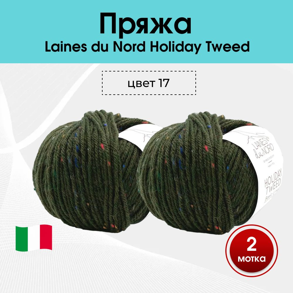 Пряжа Laines du Nord Holiday Tweed (50% меринос, 39% акрил, 11% вискоза) цв. 17, 2 мотка  #1