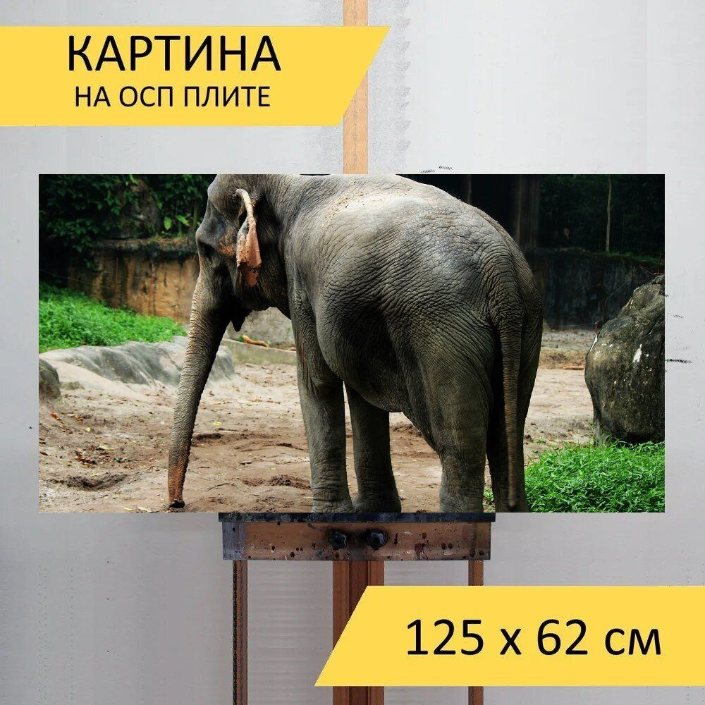 LotsPrints Картина "Слон, животное, зоопарк 20", 125  х 62 см #1