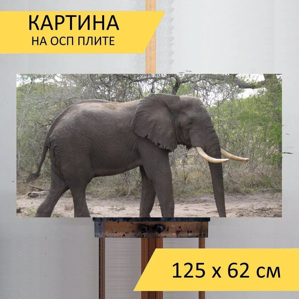 LotsPrints Картина "Слон, бык, слон бык 47", 125  х 62 см #1