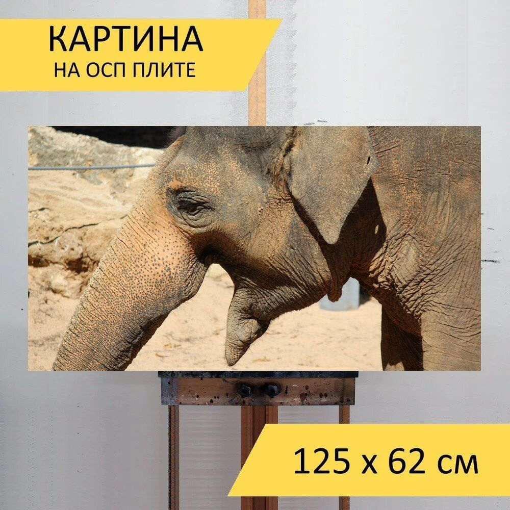 LotsPrints Картина "Слон, животное, африке 80", 125  х 62 см #1