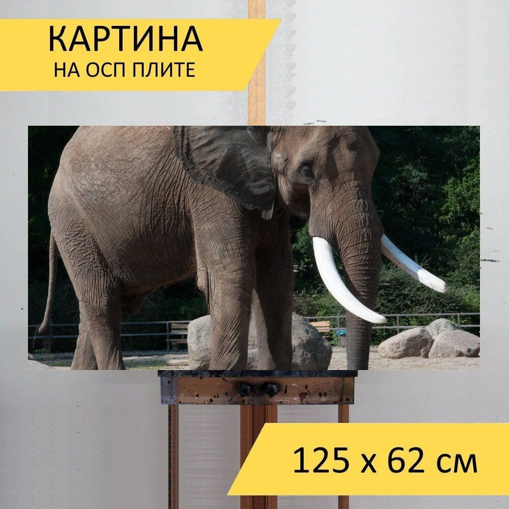 LotsPrints Картина "Слон, зоопарк, летом 58", 125  х 62 см #1