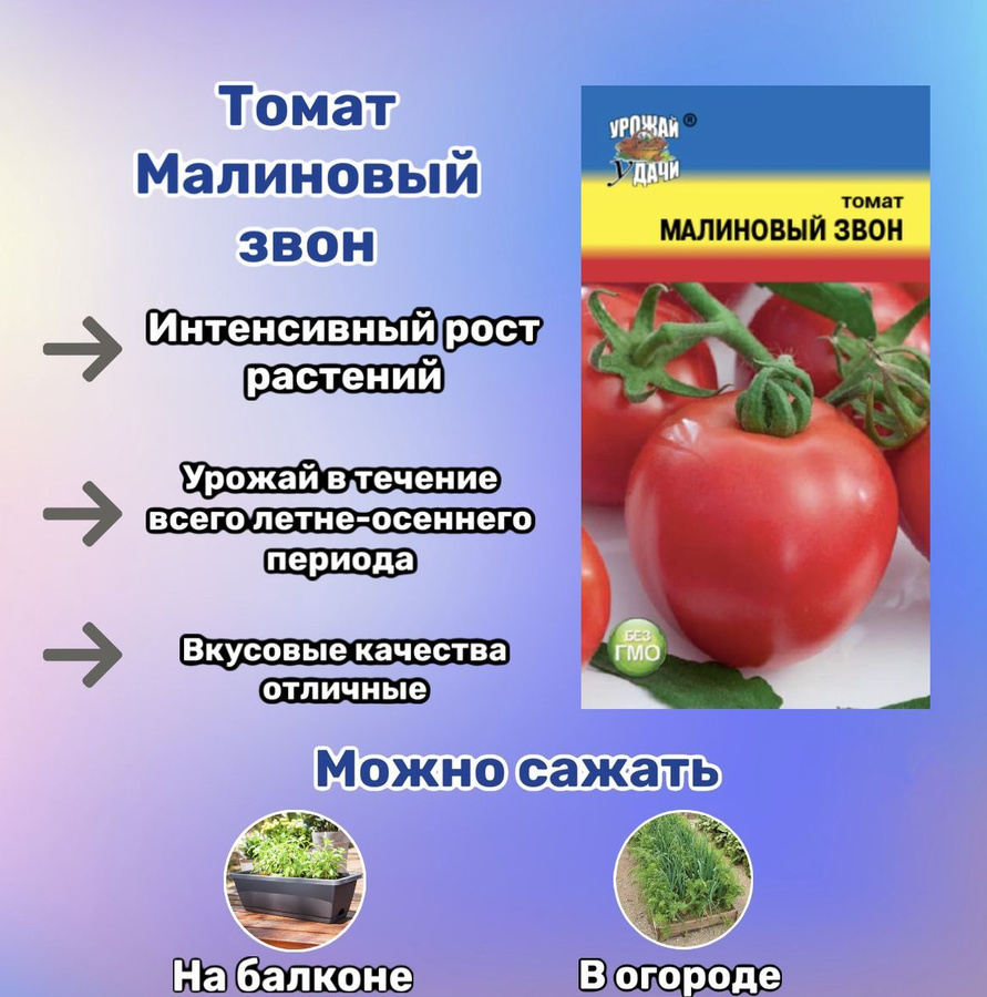 Томат красным красно f1. Томат красным красно f1 Уральский Дачник.