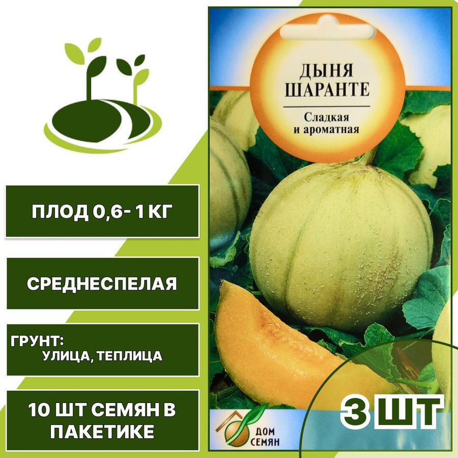 сорт дыни хандалак. дыня f1 канталупа. дыня малага f1. дыня французская шарантэ. дыня шаранте описание отзывы.