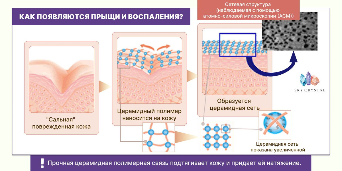 Текстовое описание изображения