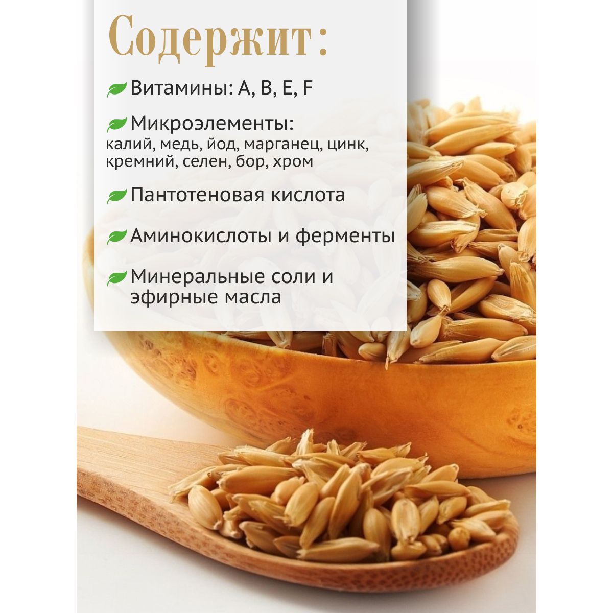 Овес в оболочке для полезных отваров и проращивания, 5 кг - купить с ...