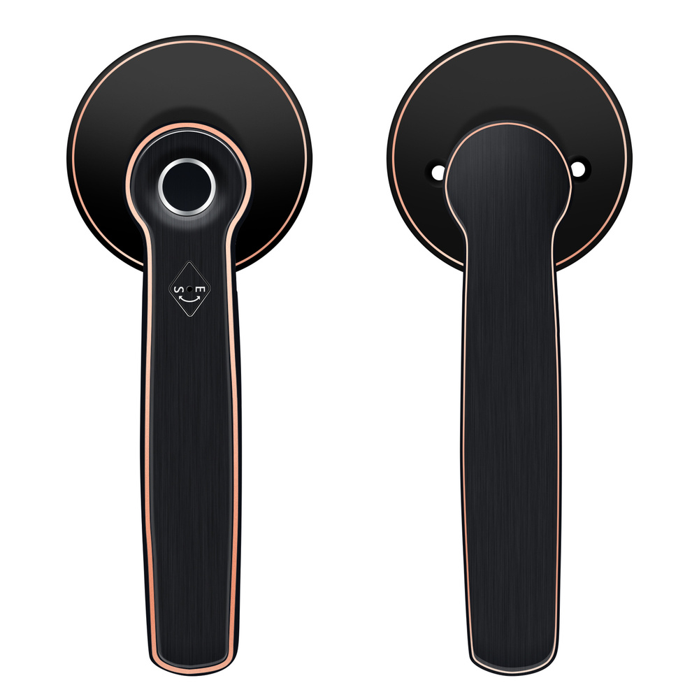 Дверной замок с отпечатками пальцев, дверной Bluetooth, умный замок ...