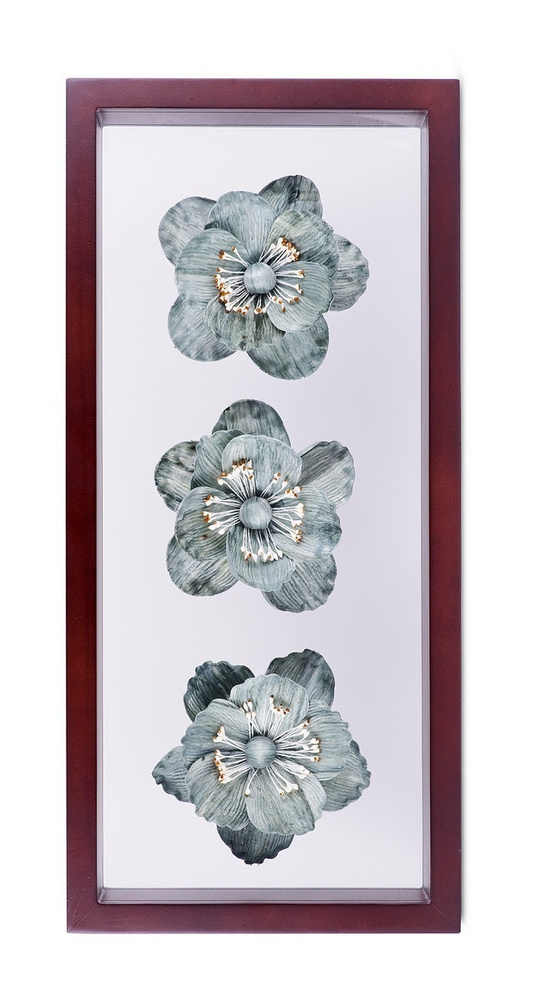 панно настенное три цветка из сухоцветов с двойным стеклом и деревянной рамкой  #1