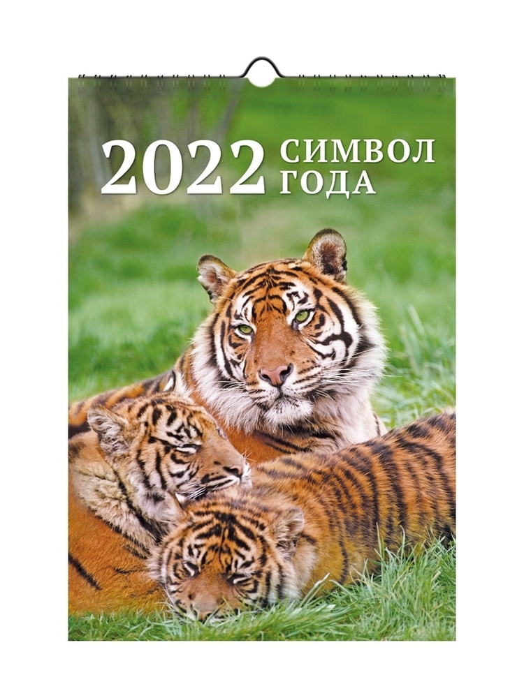 Календарь ND Play на 2022 год. Символ года 1 (настенный, на спирали) 297х440х10 мм  #1