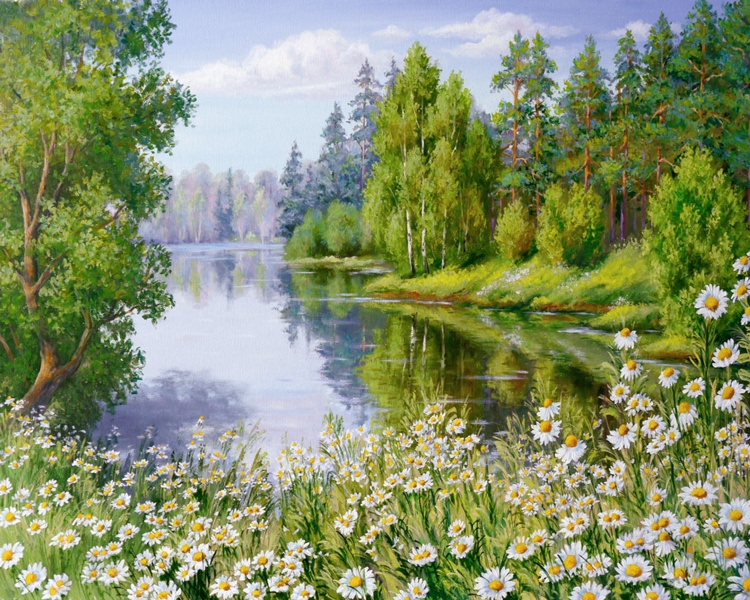 Картина по номерам на холсте с подрамником 40х50 Цветы Ромашки у реки Пейзаж Природа  #1