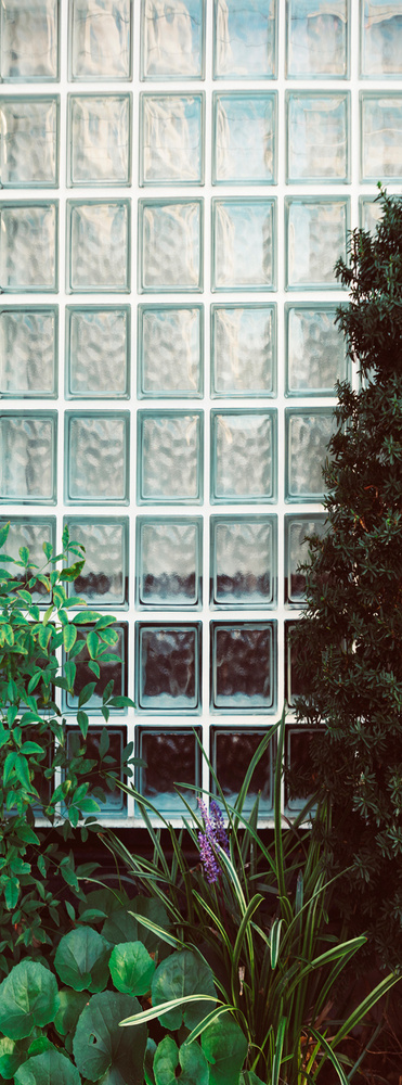 Фотообои на стену URBAN Design UD1-041 Растения на фоне стеклоблоков, 100 х 270 см, флизеиновые  #1