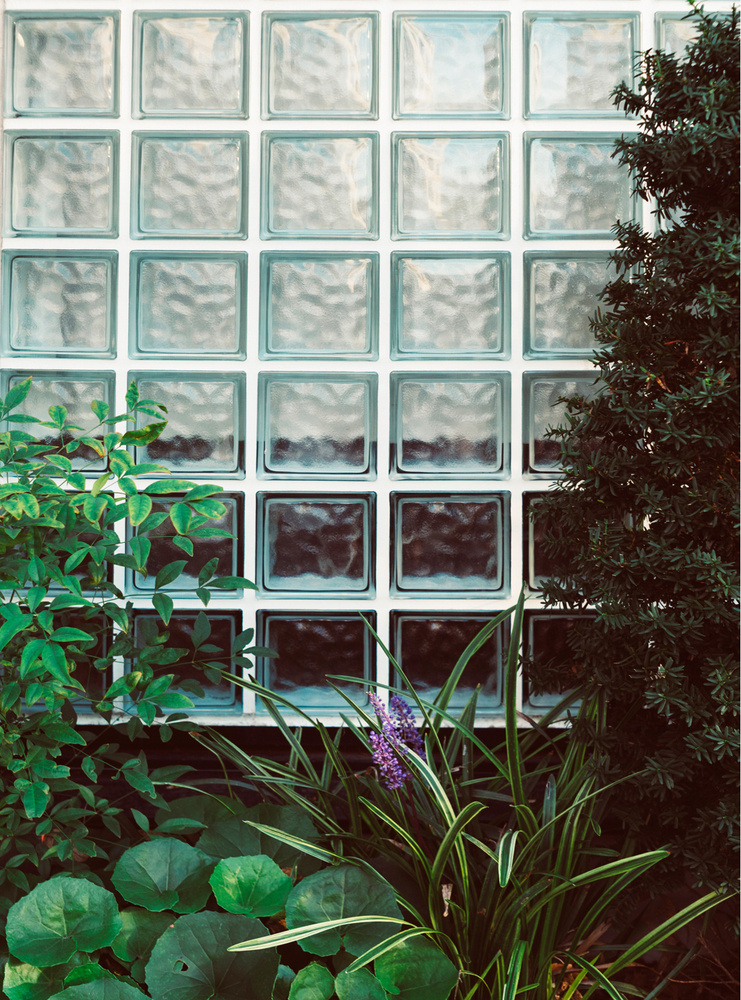 Фотообои URBAN Design 3Д Растения на фоне стеклоблоков, 200 x 270 см  #1