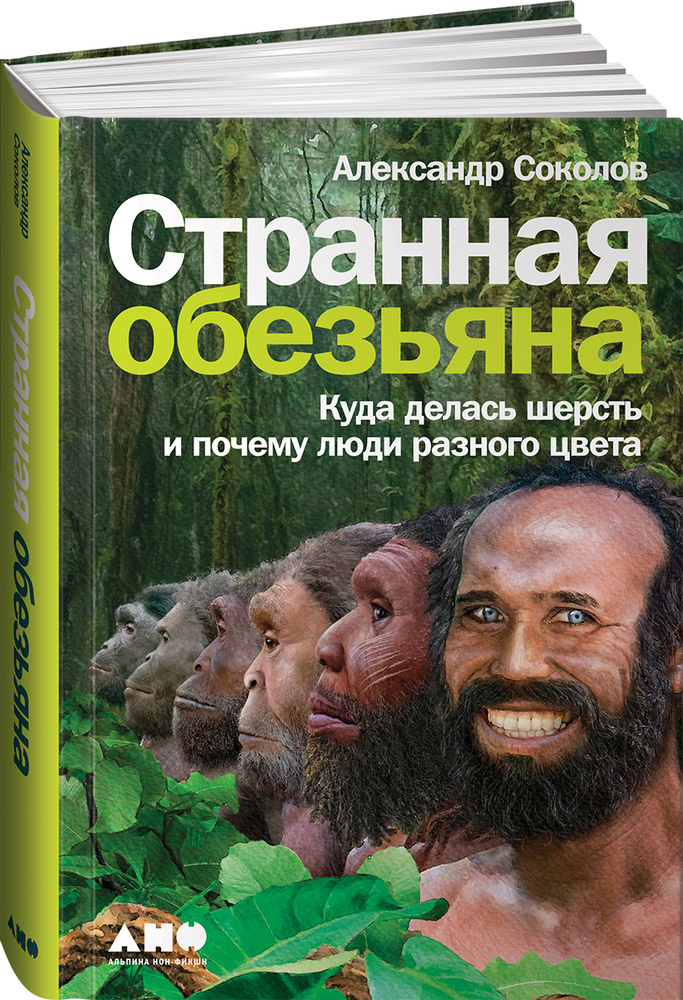 Странная обезьяна. Куда делась шерсть и почему люди разного цвета | Соколов Александр Борисович  #1