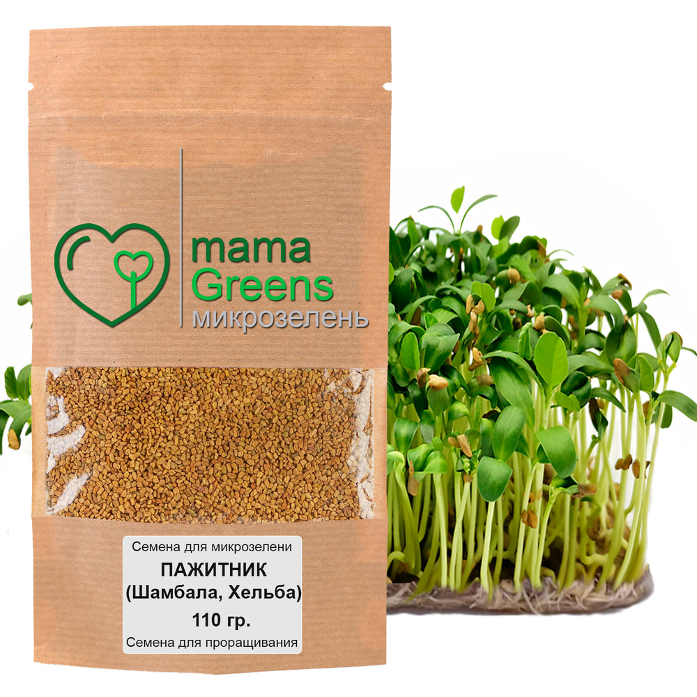 Семена Пажитник (Шамбала, Хельба) 110 гр - весовые семена для выращивания микрозелени и проращивания #1