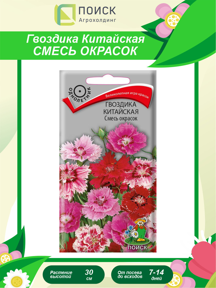 Семена Гвоздика Китайская Смесь окрасок однолетние 0,25 гр.  #1