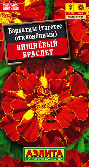 Бархатцы низкорослые "Вишневый браслет" Семена цветов Аэлита, 0,3 гр  #1