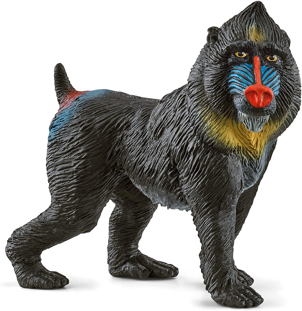 Schleich 14856 Мандрил #1