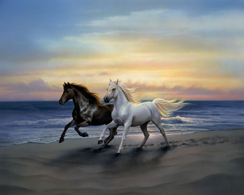 Алмазная мозаика на подрамнике 40x50 Лошади бегут по пляжу. Товар уцененный  #1