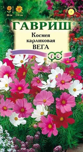  Космея карликовая Вега, смесь, 0,5г, Гавриш #1