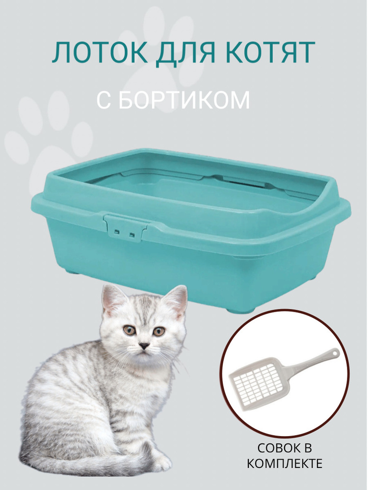 Туалет для котят с бортом DD Style, кошачий туалет, лоток для кошек с совком, ментоловый  #1