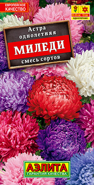 семена Астра Миледи, смесь окрасок #1