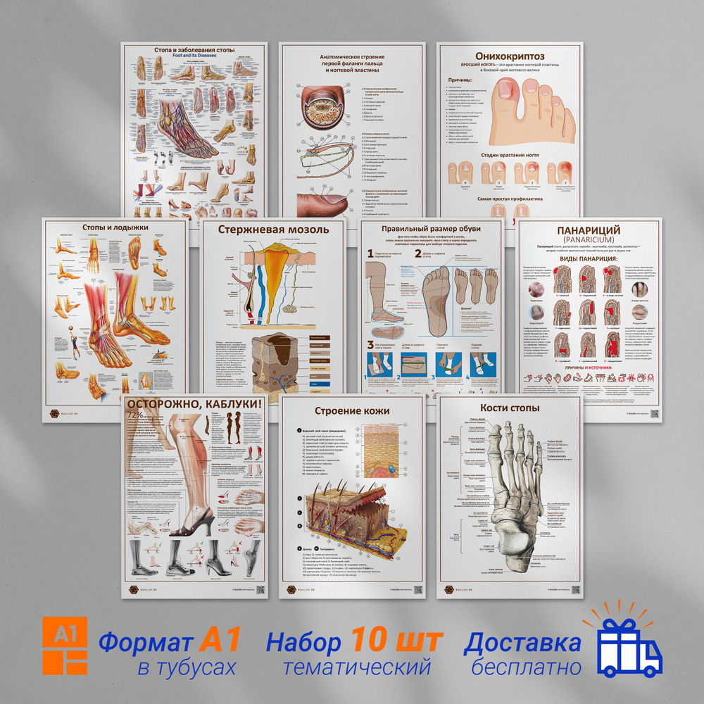Набор плакатов для кабинета педикюра и подолога (10 шт.) в формате А1 (84 х 60 см)  #1