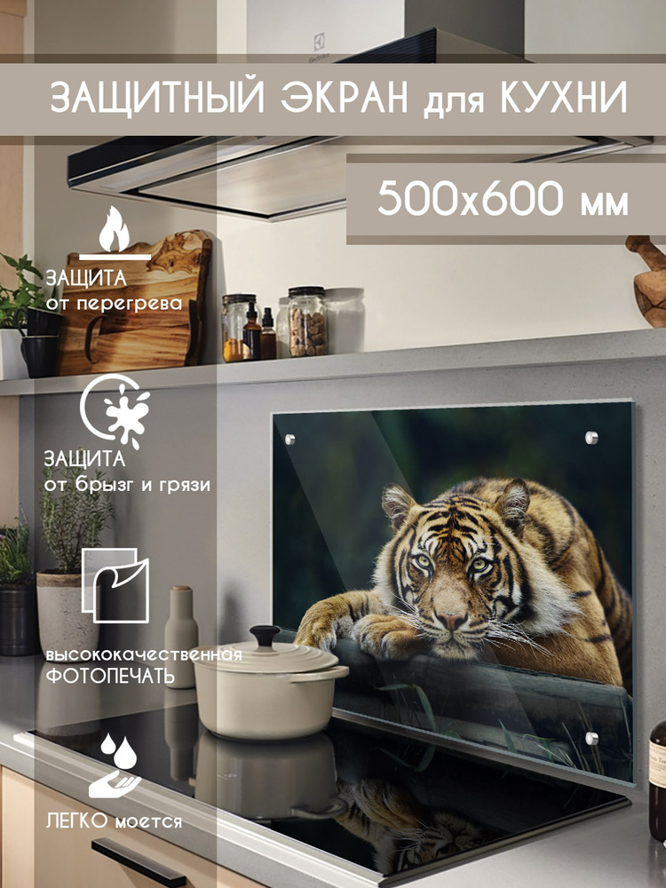 Защитный экран из закаленного стекла на кухонный фартук 600х500х4мм с фотопечатью  #1