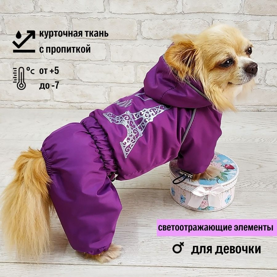 Совиный лес