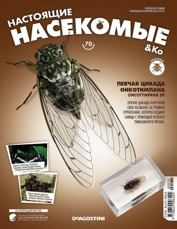 Журнал №70 "Настоящие насекомые" С ВЛОЖЕНИЕМ! Певчая цикада онкотимпана  #1