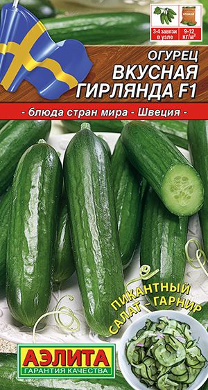 Огурец Вкусная гирлянда салатный сорт плоды 20 см #1