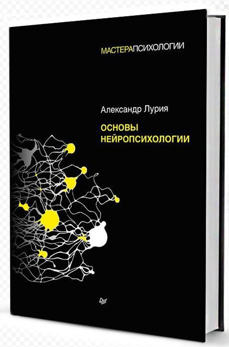 Основы нейропсихологии. Лурия А. Р. | Лурия Александр Романович  #1