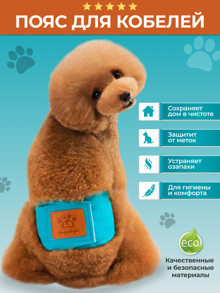 Пояс для кобелей многоразовый заменит трусы, памперсы, подгузники и даже  пеленки на липучках для собак - купить с доставкой по выгодным ценам в  интернет-магазине OZON (799145952)