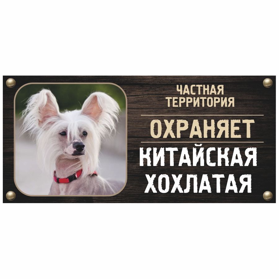 Табличка, Злая собака, Территорию охраняет Китайская хохлатая, на металлической основе, 30см х 14 см, #1