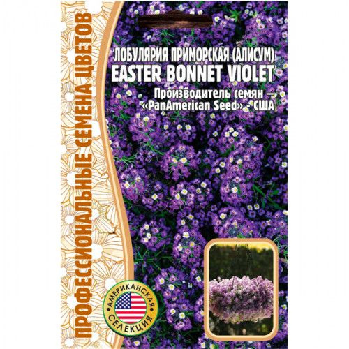 Алиссум (лобулярия) Easter Bonnet Violet 20шт (Профессиональные семена цветов)  #1