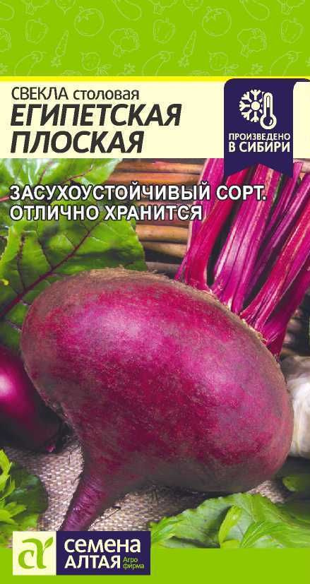 Свекла столовая Египетская Плоская/ Семена Алтая #1