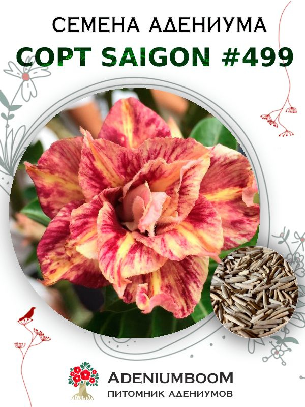 Семена Адениума Обесум от Saigon Adenium #499 (4шт.) / семена цветов комнатных суккулентов, набор семян #1