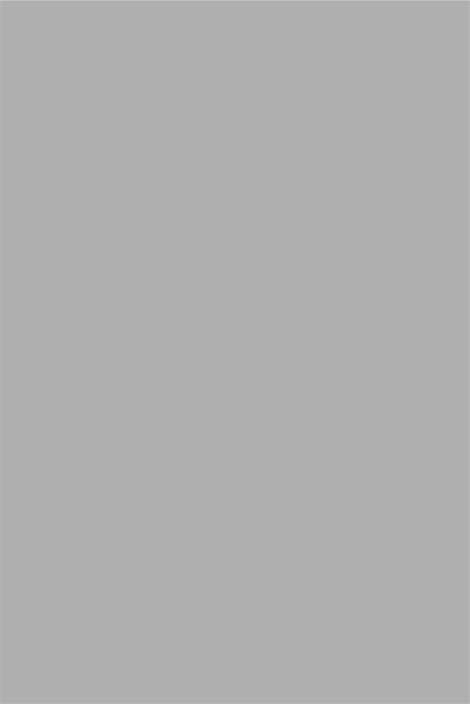 MAGIK fons Фон для фото 150 см x 10 см, серый #1