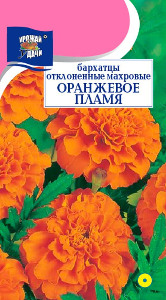 Семена Бархатцы отклонённые Оранжевое Пламя (Семена УРОЖАЙ УДАЧИ, 0,3г в упаковке)  #1