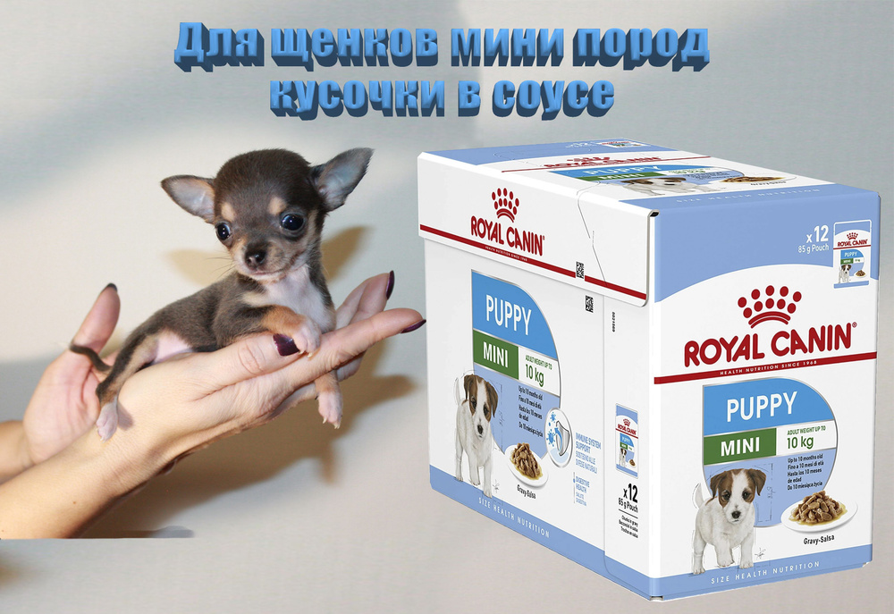 Влажный корм для щенков до 10 месяцев Royal Canin Mini Puppy, кусочки в соусе с мясом, 85 г х 12 шт  #1