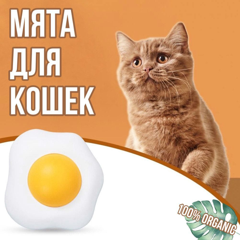Кошачья мята для кошек и котов, шарик с прессованной мятой для животных  #1