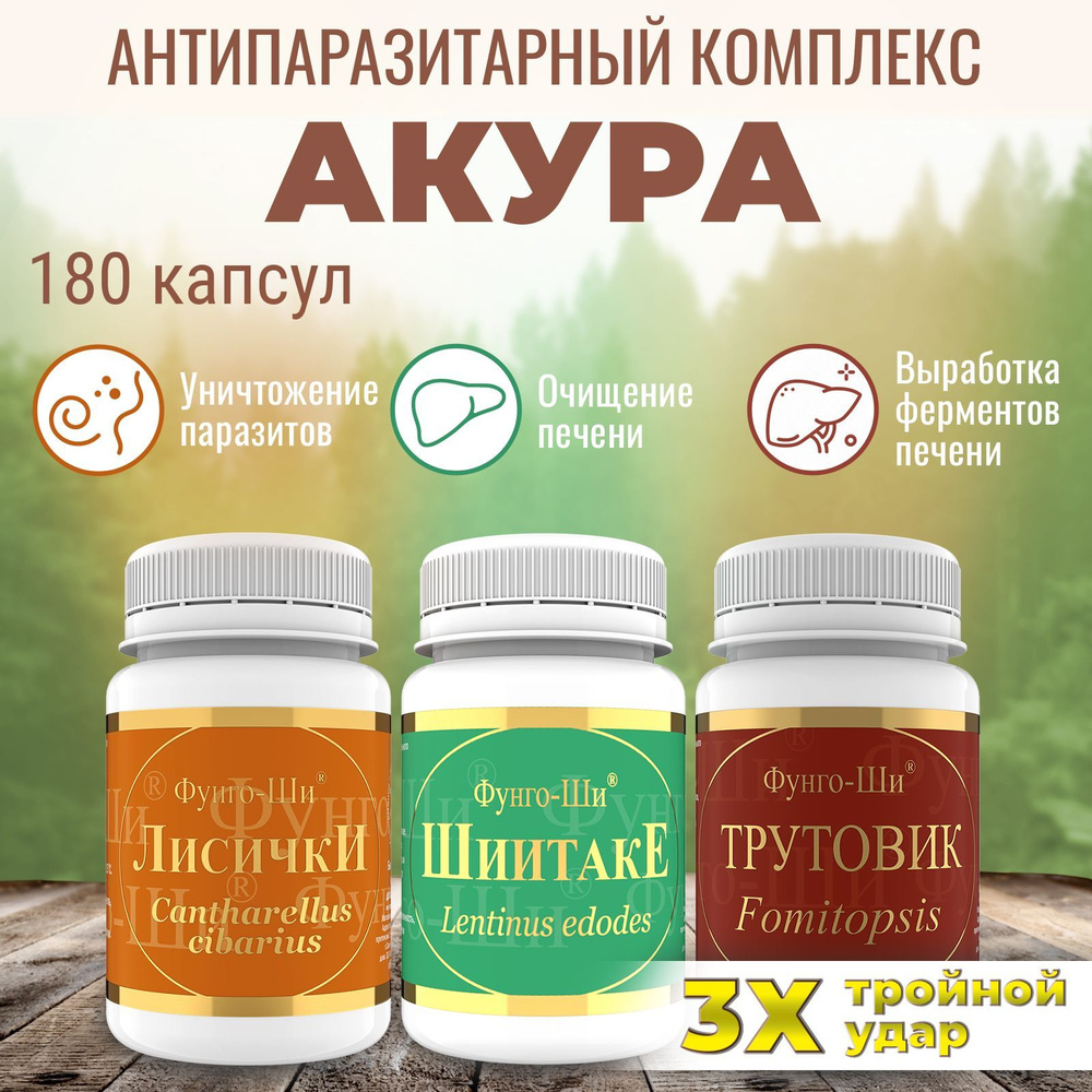 Фунго ши лисички капсулы инструкция