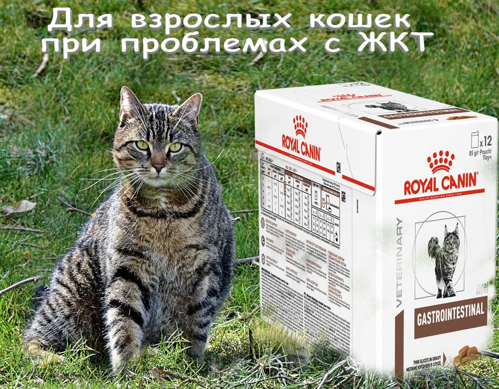 Корм влажный ROYAL CANIN Gastrointestinal для кошек при проблемах с ЖКТ 12х85 г  #1