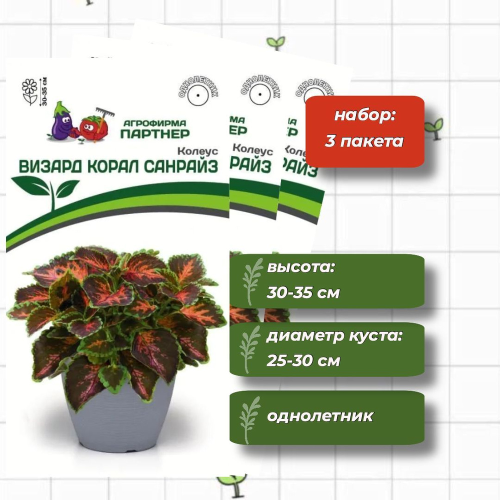 Колеус шлемниковидный Визард Корал Санрайз Агрофирма Партнёр 10 шт. - 3 упаковки  #1