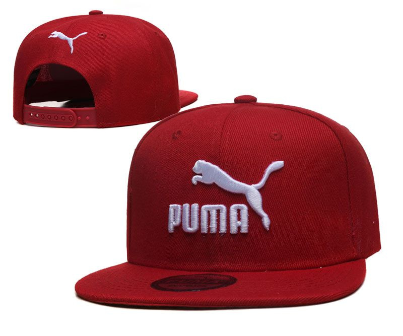 Бейсболка PUMA #1