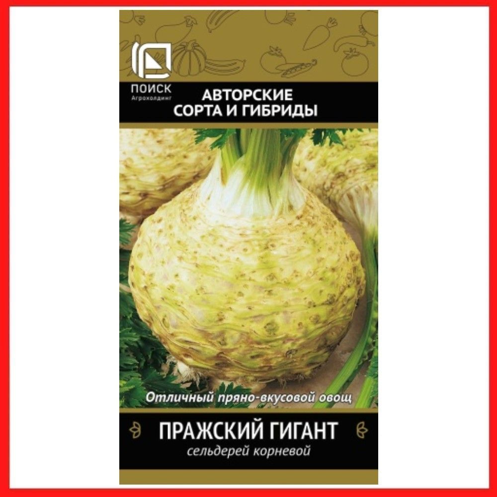 Семена Сельдерей корневой "Пражский гигант" 0,5 гр, для дома, дачи и огорода, в открытый грунт, на рассаду, #1