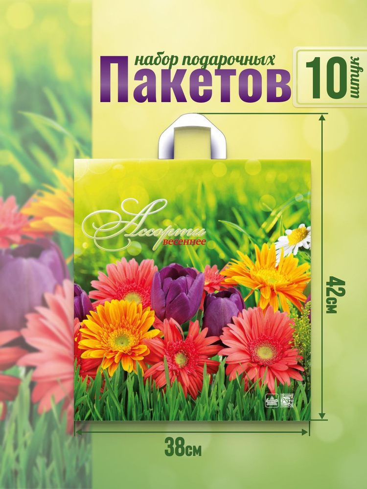 Well Home Пакет подарочный 42*38 см, 10 шт. #1