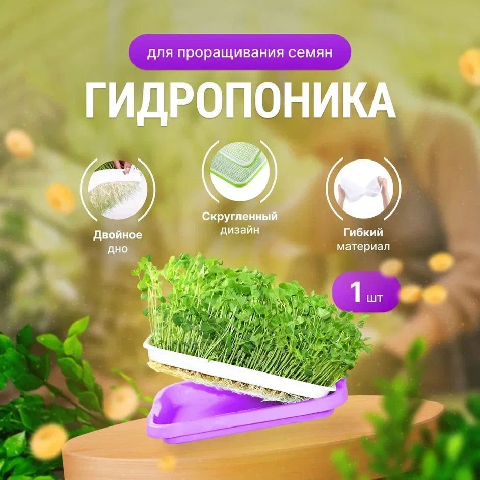 Проращиватель семян / Лоток для проращивания микрозелени Фиолетовый - 1 штука / Гидропоника  #1
