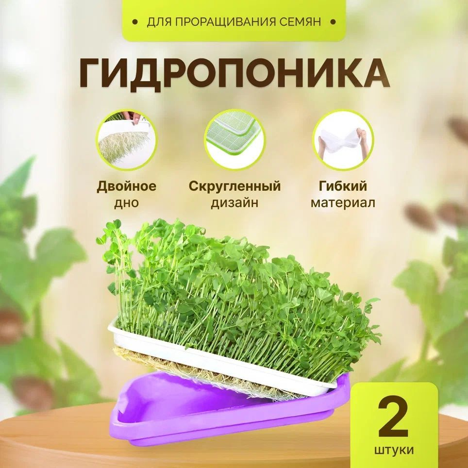 Проращиватель семян / Лоток для проращивания микрозелени Фиолетовый - 2 штуки / Гидропоника  #1