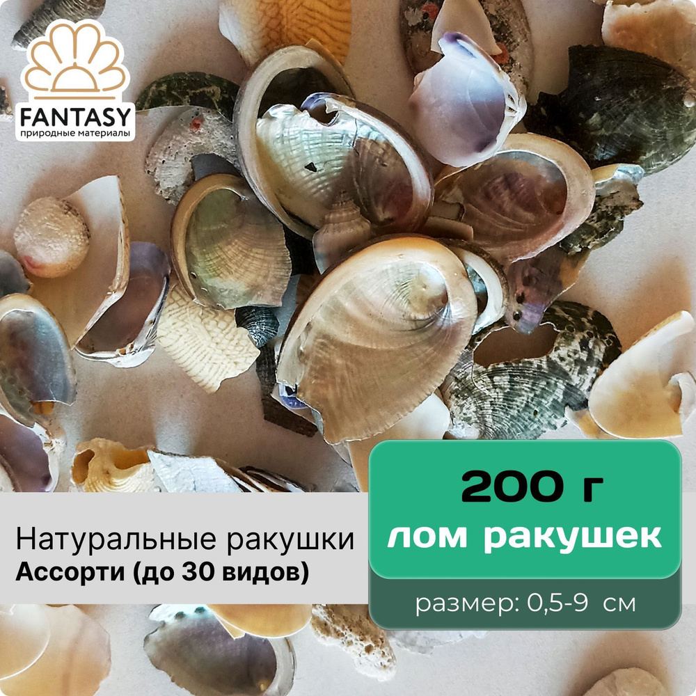 Натуральные морские ракушки FANTASY - лом, размер - 0,5-9 см, набор весом 200 г  #1