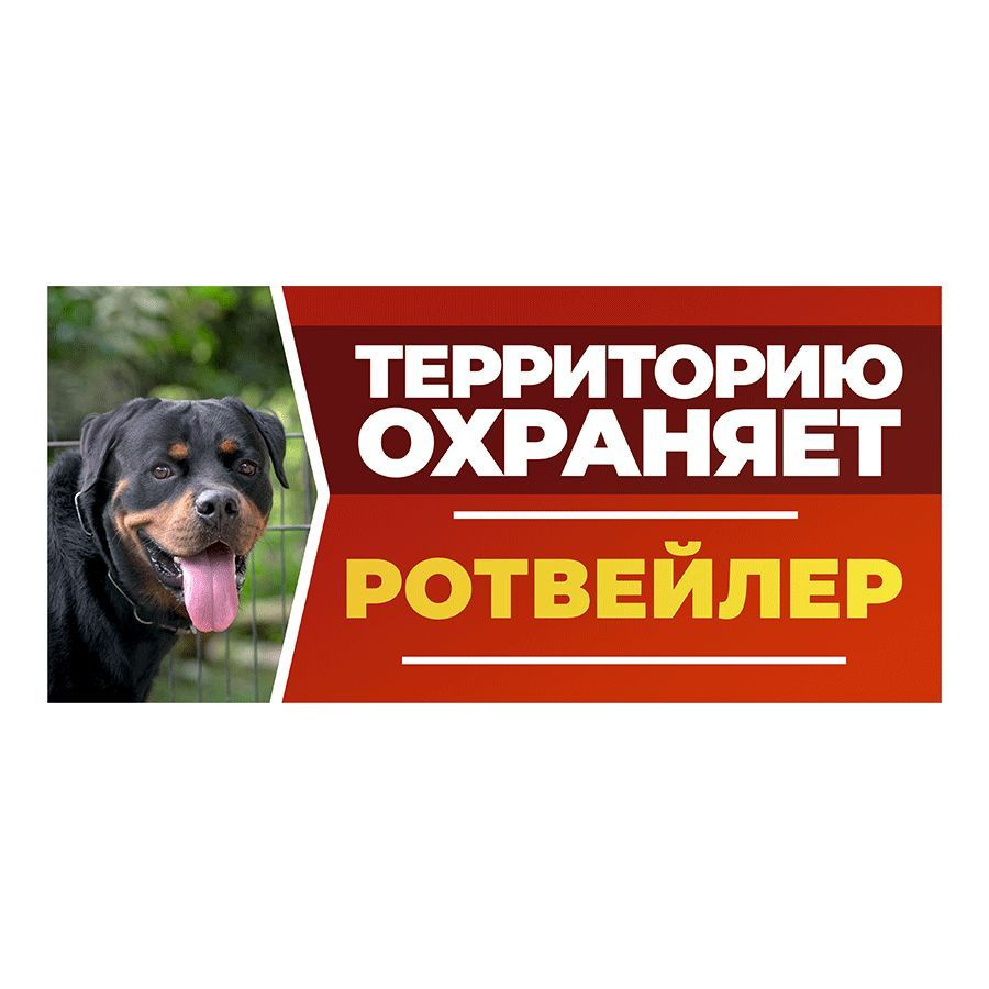 Табличка, DANGER DOG, Ротвейлер, на забор, 30см х 14см #1