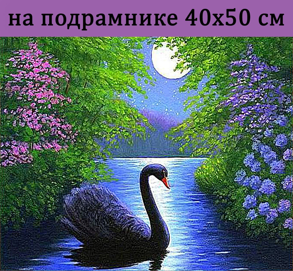 Алмазная мозаика на подрамнике 40х50 Черный лебедь на пруду, алмазная вышивка на подрамнике 50х40 полная #1